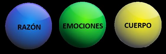 Las tres principales esferas de la conducta sobre las trabajamos con TIP