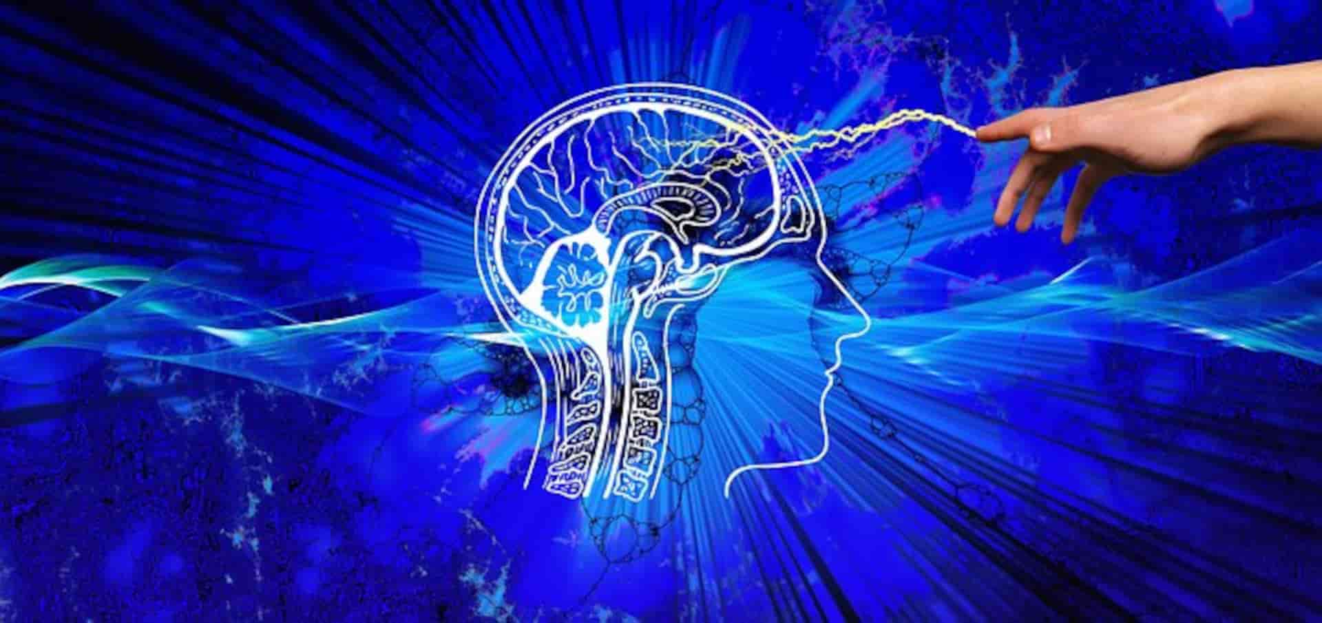 Teoría integral de la personalidad es una nueva Psicología Neurocientífica