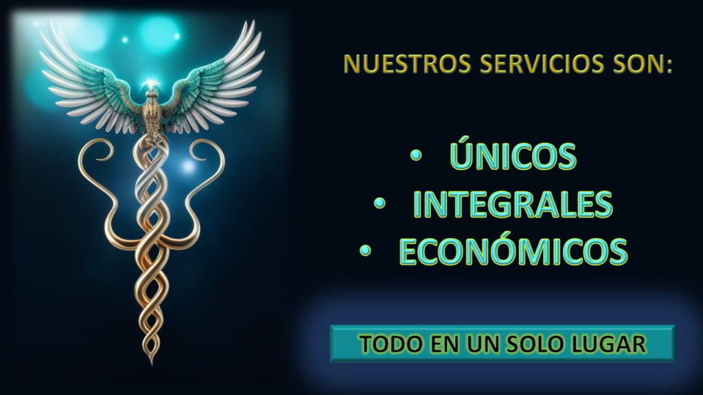 Los servicios de TIP